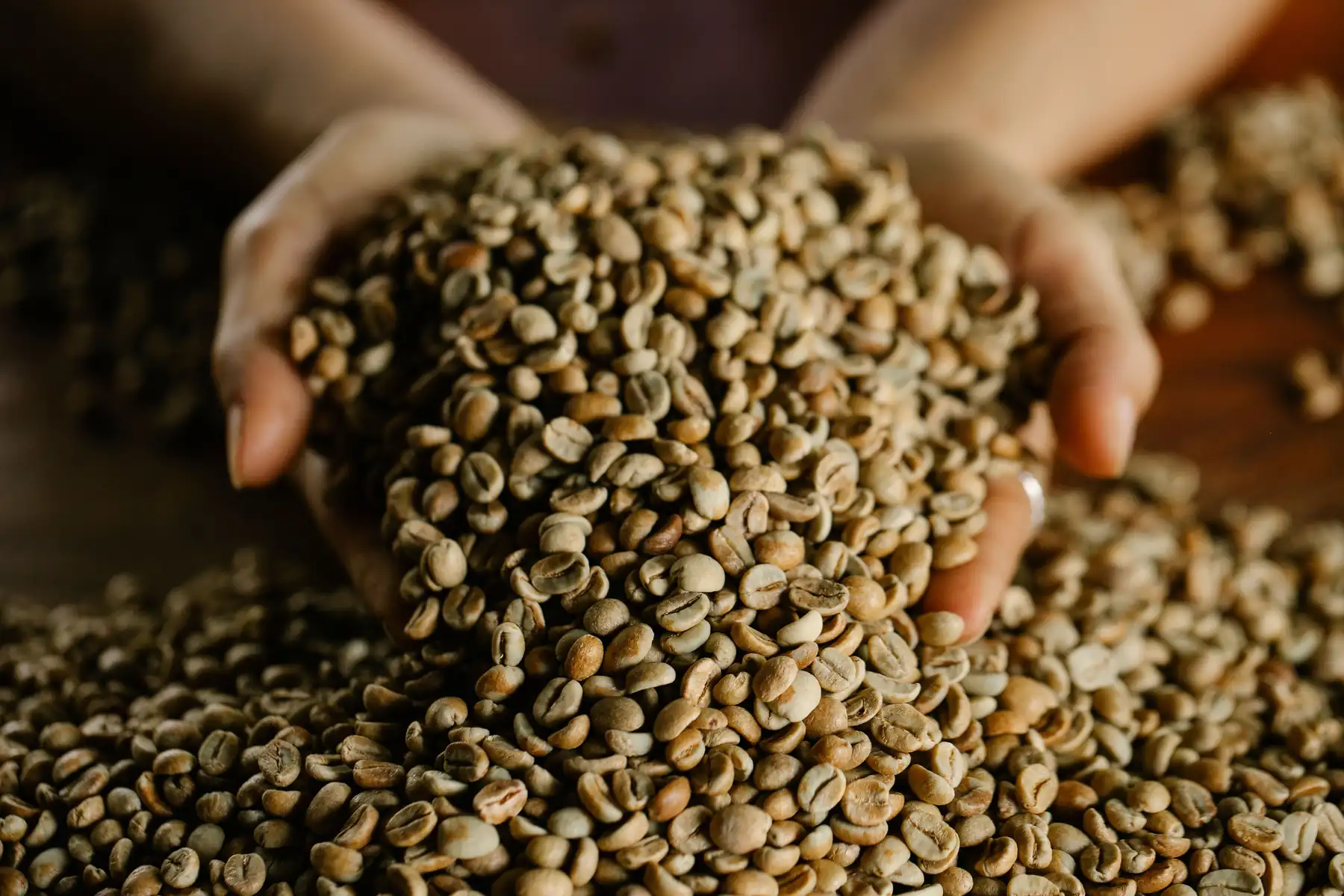 Green coffee beans, the source of the chlorogenic acids on the SlimSet panel